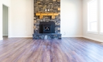 Shoemaker ln-9